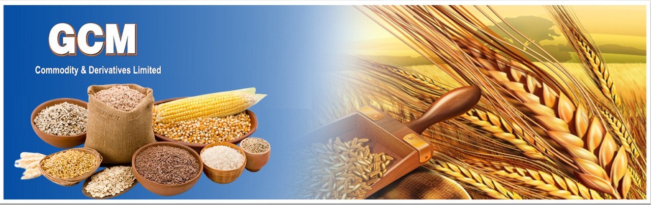 GCM Commodity | Derivaties Ltd.
