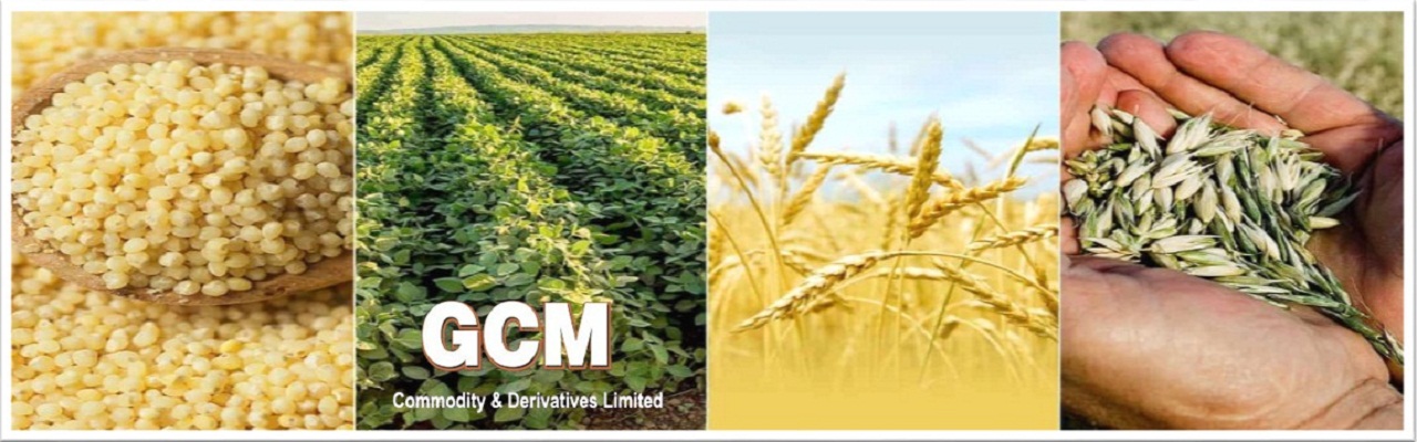 GCM Commodity | Derivaties Ltd.